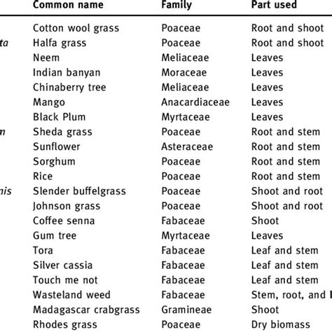 allelopathy pronunciation|allelopathic tree species.
